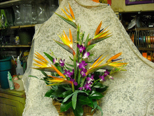 Florist «Ames Greenhouse», reviews and photos, 3011 S Duff Ave, Ames, IA 50010, USA