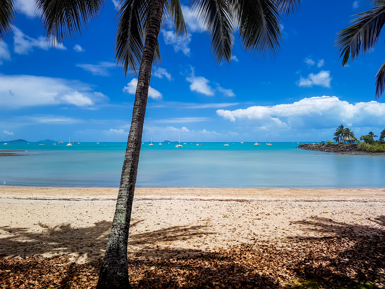 Airlie Beach'in fotoğrafı #43 ile birlikte