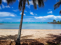 Airlie Beach'in fotoğrafı #43 ile birlikte