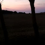 Photo n°3 de l'avis de Roberto.e fait le 08/07/2023 à 21:23 sur le  Agriturismo Da Marta à Otranto