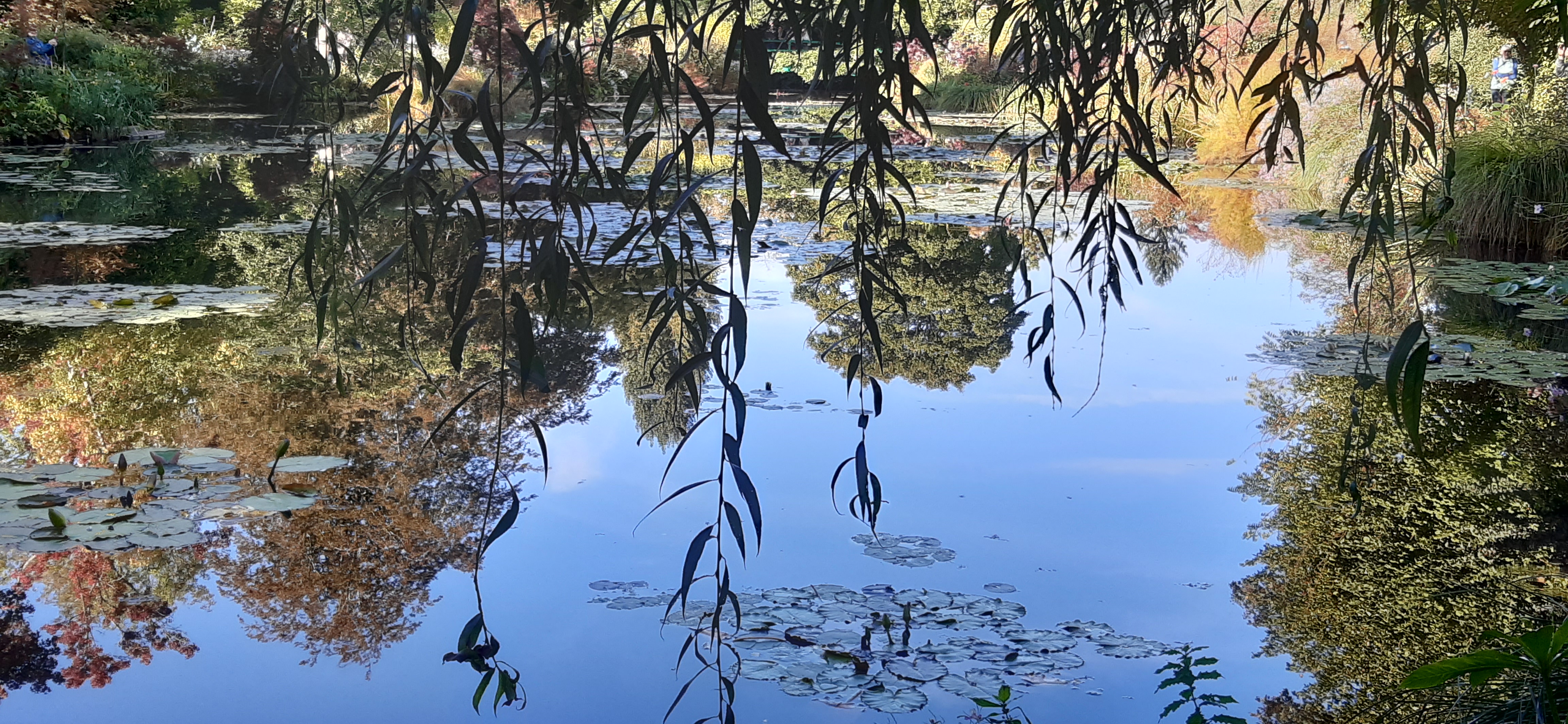 Photo n° 1 de l'avis de Nathalie.u fait le 09/10/2023 à 13:47