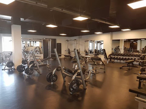 My Gym in Vordingborg, Vordingborg