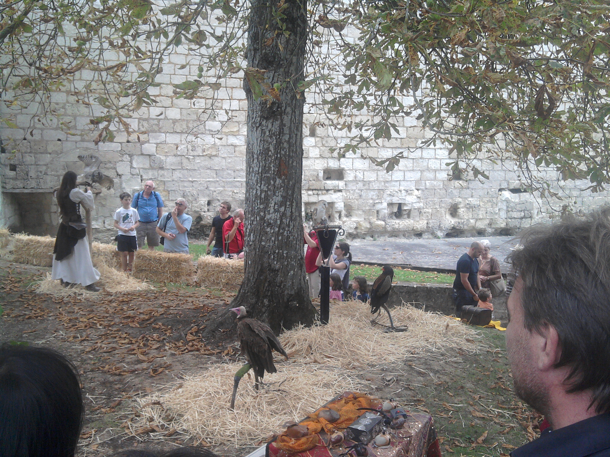 Photo n° 2 de l'avis de Chamroeun.H fait le 10/11/2022 à 00:01