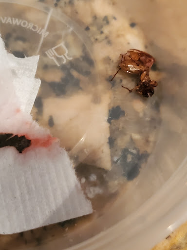 Fast Food Restaurant «Sonic Drive-In», reviews and photos, 4001 US-90, Pace, FL 32571, USA