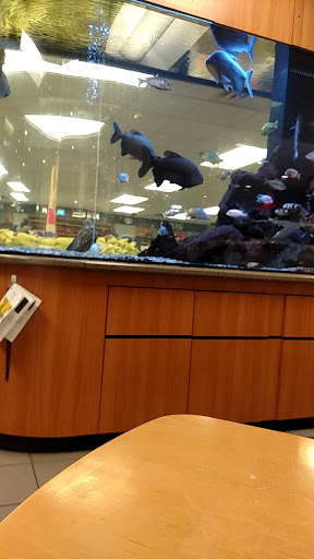 Toyota Dealer «Maplewood Toyota», reviews and photos, 2873 Maplewood Dr, Maplewood, MN 55109, USA