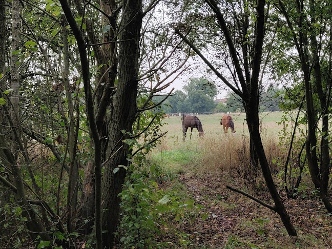 De Wemmelse Motte - Sportschool