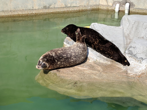 Zoo «Miller Park Zoo», reviews and photos, 1020 S Morris Ave, Bloomington, IL 61701, USA