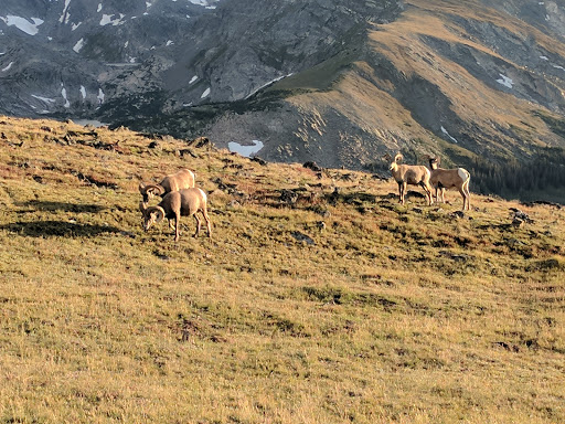 National Park «Rocky Mountain National Park», reviews and photos