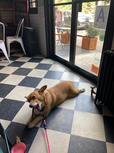 Pet Supply Store «Pet NV», reviews and photos, 71 Central Ave, Brooklyn, NY 11206, USA