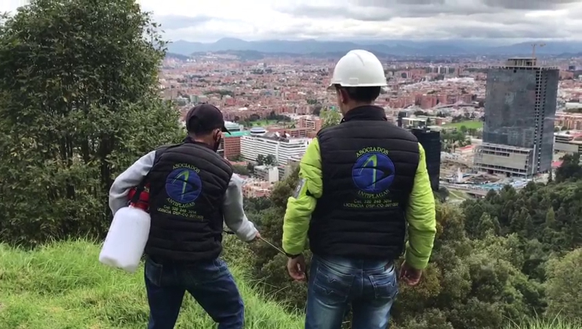 Asociados Antiplagas fumigaciones Bogotá