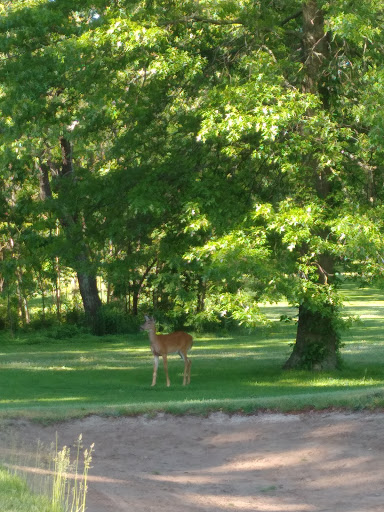 Golf Course «Christopher Morley Park Golf», reviews and photos, 500 Searingtown Rd, Roslyn, NY 11576, USA
