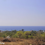 Review Madrasah Aliyah Negeri Kupang