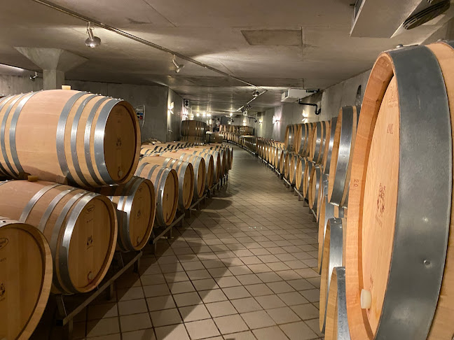 Wine Tours Switzerland - Reisebüro