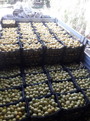 Bu Organik Restaurant.Doğal Ürünler