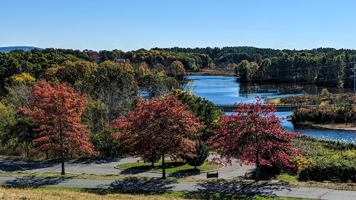 Park «Millennium Park», reviews and photos, 300 Gardner Street, West Roxbury, MA 02132, USA