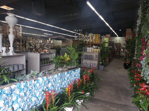 Florist «Wholesale Flowers and Supplies», reviews and photos, 5305 Metro St, San Diego, CA 92110, USA