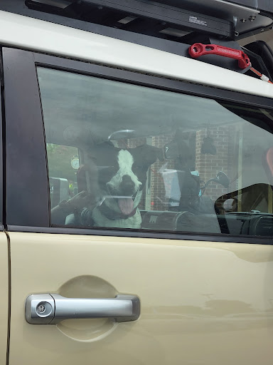 Ice Cream Shop «Cold Stone Creamery», reviews and photos, 3105 Northline Ave, Greensboro, NC 27408, USA