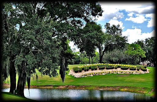 Golf Course «Copperhead Course», reviews and photos, 36750 US Hwy 19 N, Palm Harbor, FL 34684, USA