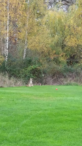 Golf Course «RedTail Golf Center», reviews and photos, 8200 SW Scholls Ferry Rd, Beaverton, OR 97008, USA