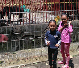 Bumi Kedaton Resort (Wisata Buah, Zoo & Resort) photo