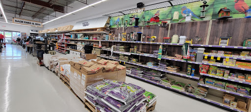 Ace Hardware of Watertown