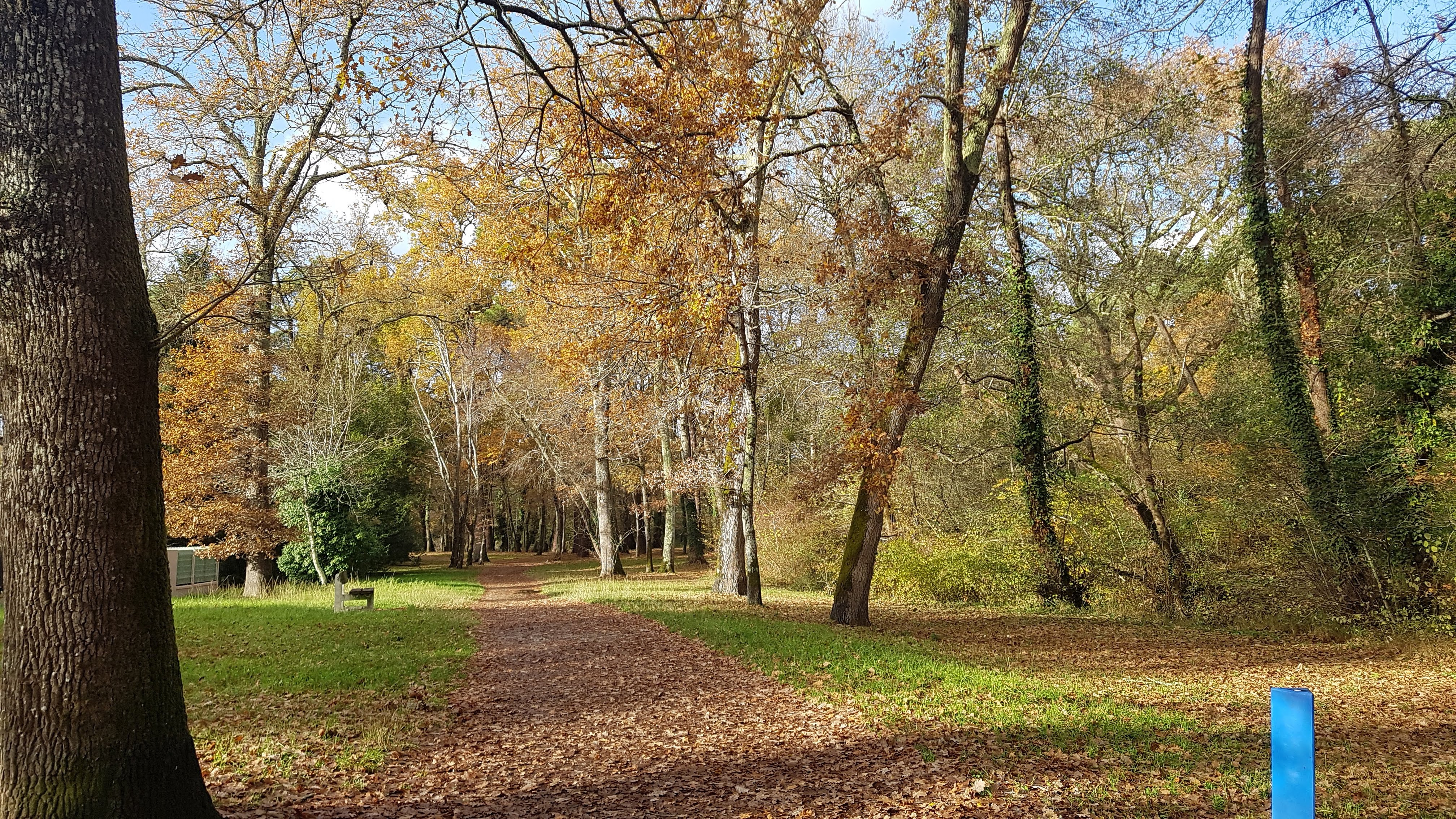 Photo n° 2 de l'avis de Joanna.A fait le 29/12/2021 à 13:09