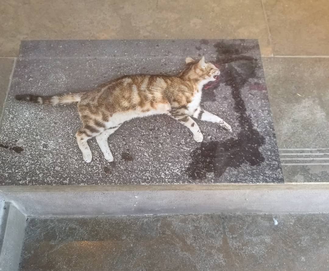 Photo n° 2 de l'avis de Alexander.v fait le 24/04/2019 à 04:22