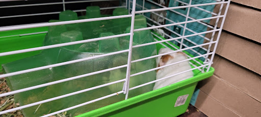 Animal Feed Store «All Pet Feed & Tack», reviews and photos, 25598 E Baseline St, San Bernardino, CA 92410, USA