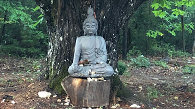 Libre Errance Shiatsu à Moret-Loing-et-Orvanne