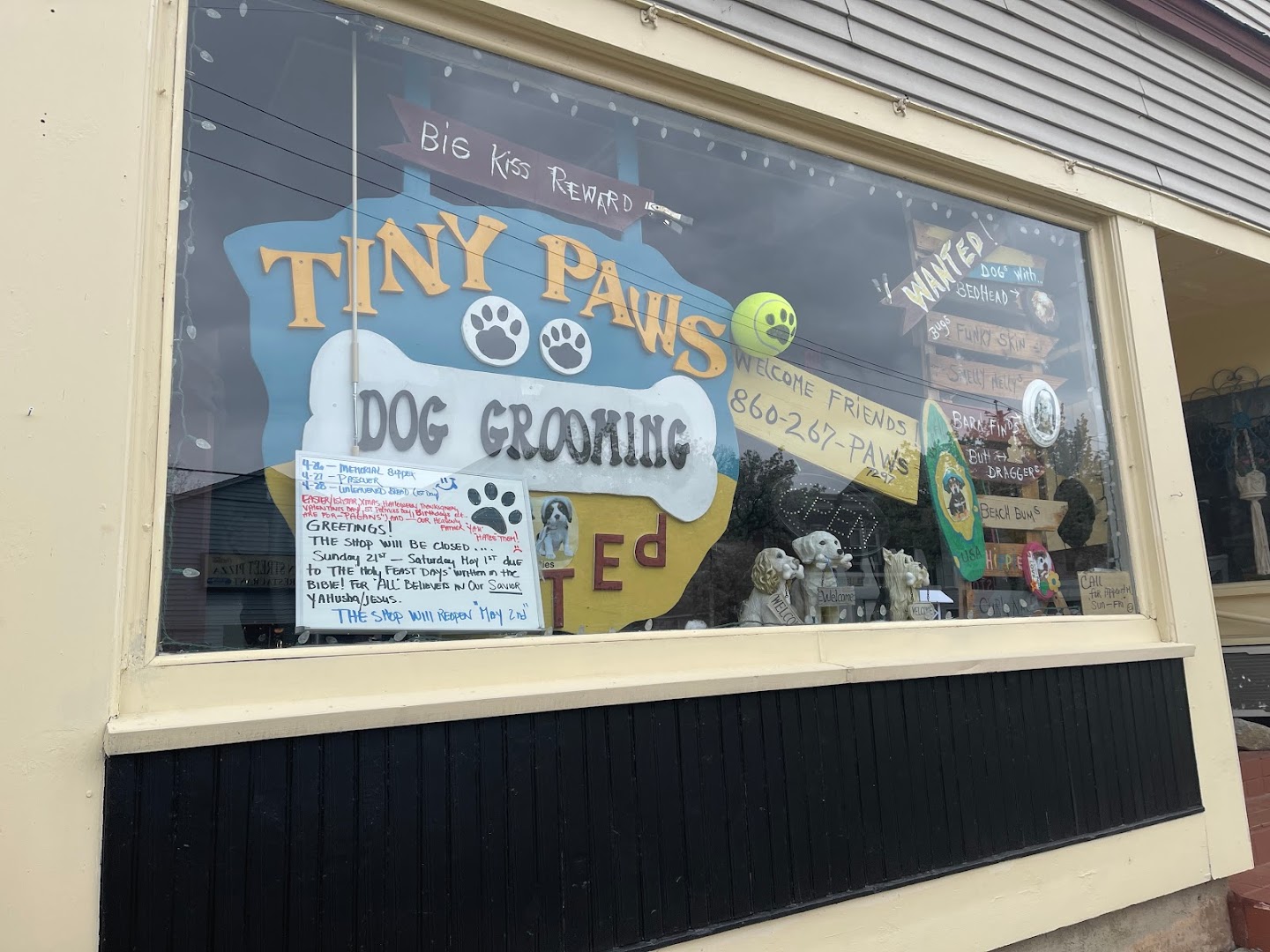 Tiny Paws Dog Grooming