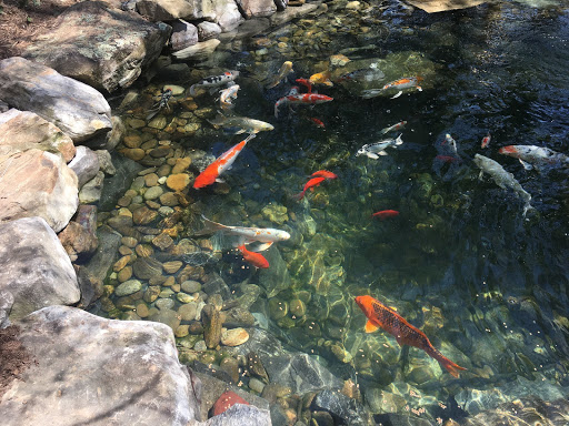 Fish Farm «Kloubec Koi», reviews and photos, 1375 Baxter Ave NW, Amana, IA 52203, USA