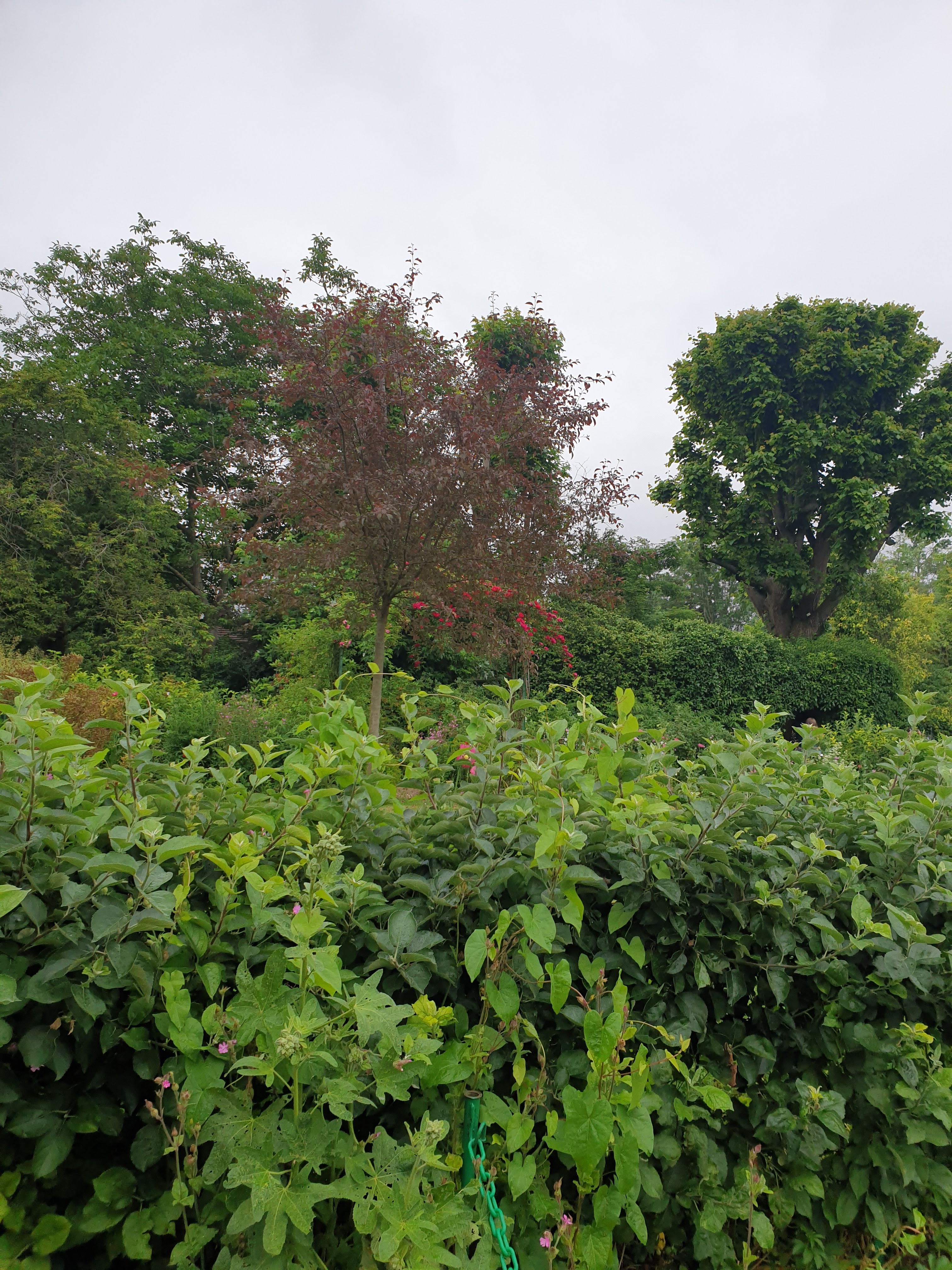 Photo n° 20 de l'avis de Platine.A fait le 20/06/2021 à 10:30