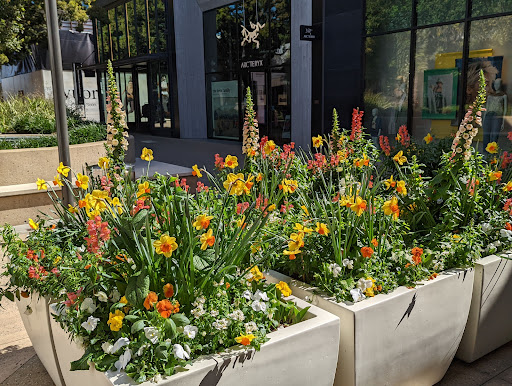 Shopping Mall «Stanford Shopping Center», reviews and photos, 660 Stanford Shopping Center, Palo Alto, CA 94304, USA