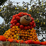 Photo n°3 de l'avis de Pascal. fait le 01/10/2023 à 17:02 sur le  Hof Löbke GmbH & Co. KG à Ibbenbüren