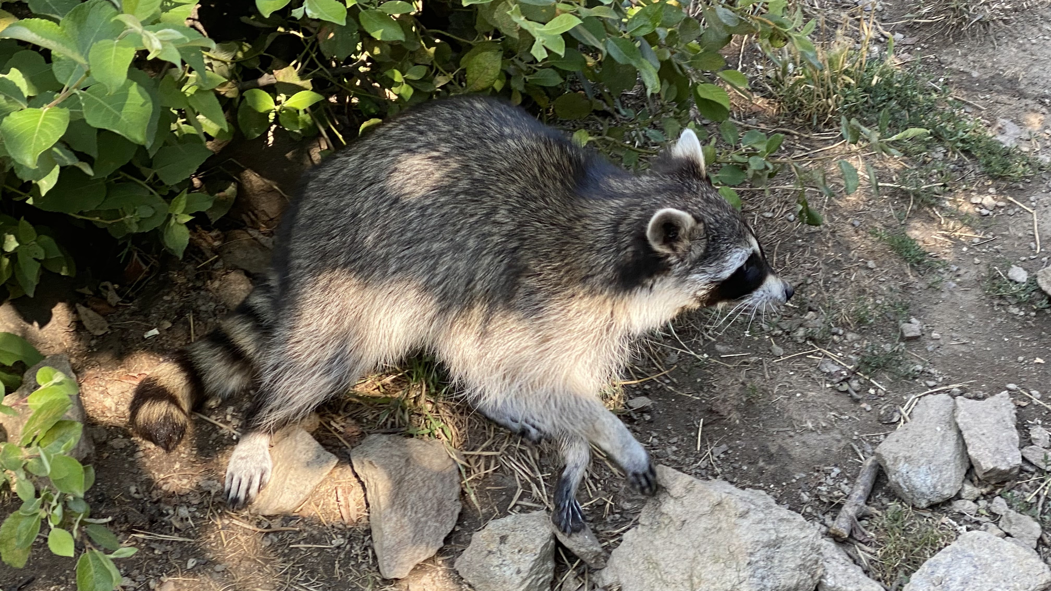 Photo n° 26 de l'avis de Olivier.e fait le 06/08/2022 à 17:29