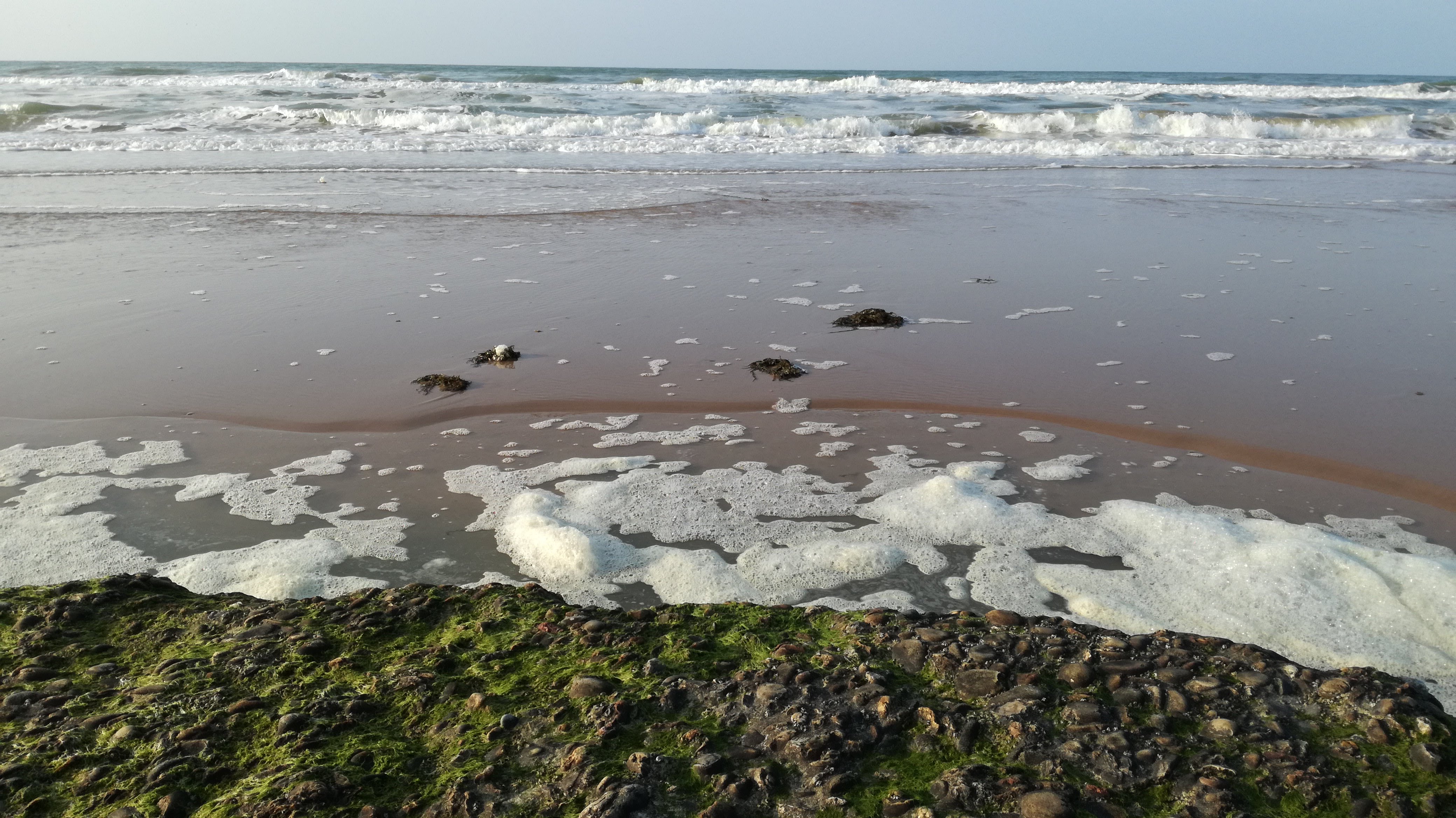 Photo n° 2 de l'avis de Peter.a fait le 14/06/2018 à 12:02