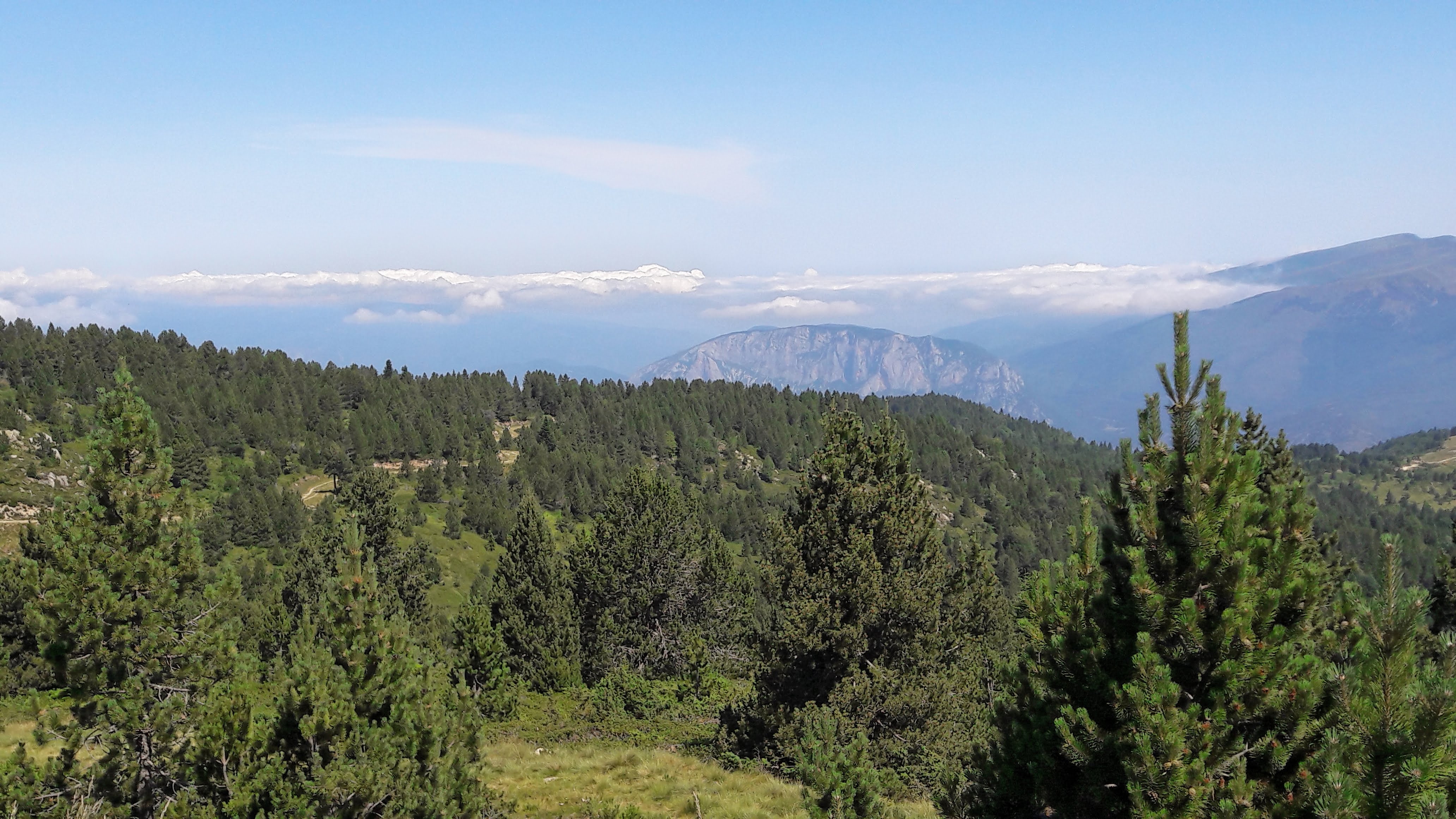 Photo n° 4 de l'avis de Bernadette.a fait le 01/08/2018 à 19:25