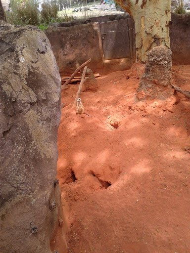 Tourist Attraction «Busch Gardens Main Entrance», reviews and photos, 9449 N 40th St, Tampa, FL 33617, USA