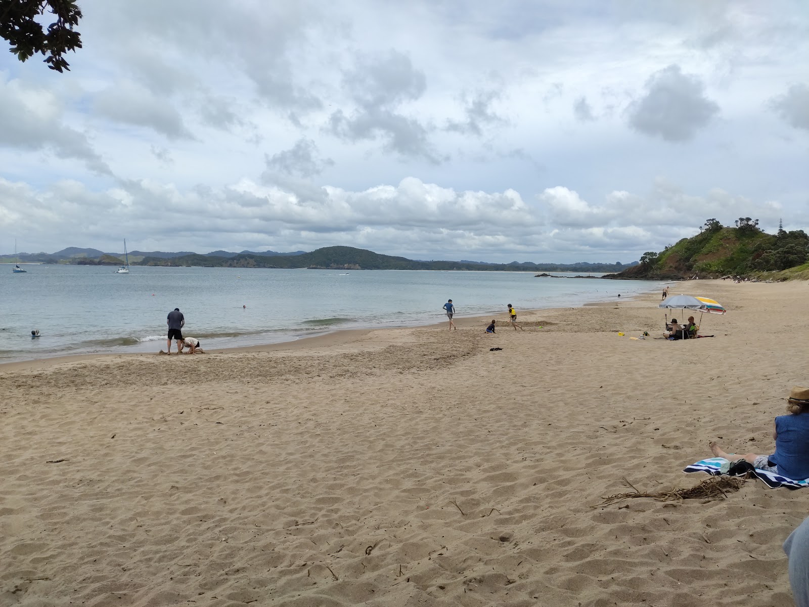 Fotografija Wellingtons Bay Beach divje območje