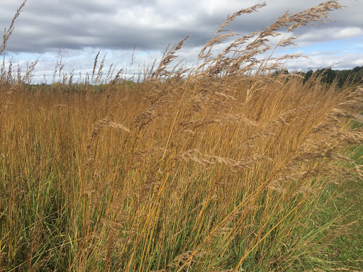 Nature Preserve «Hickory Creek Preserve», reviews and photos, Wolf Rd, Mokena, IL 60448, USA