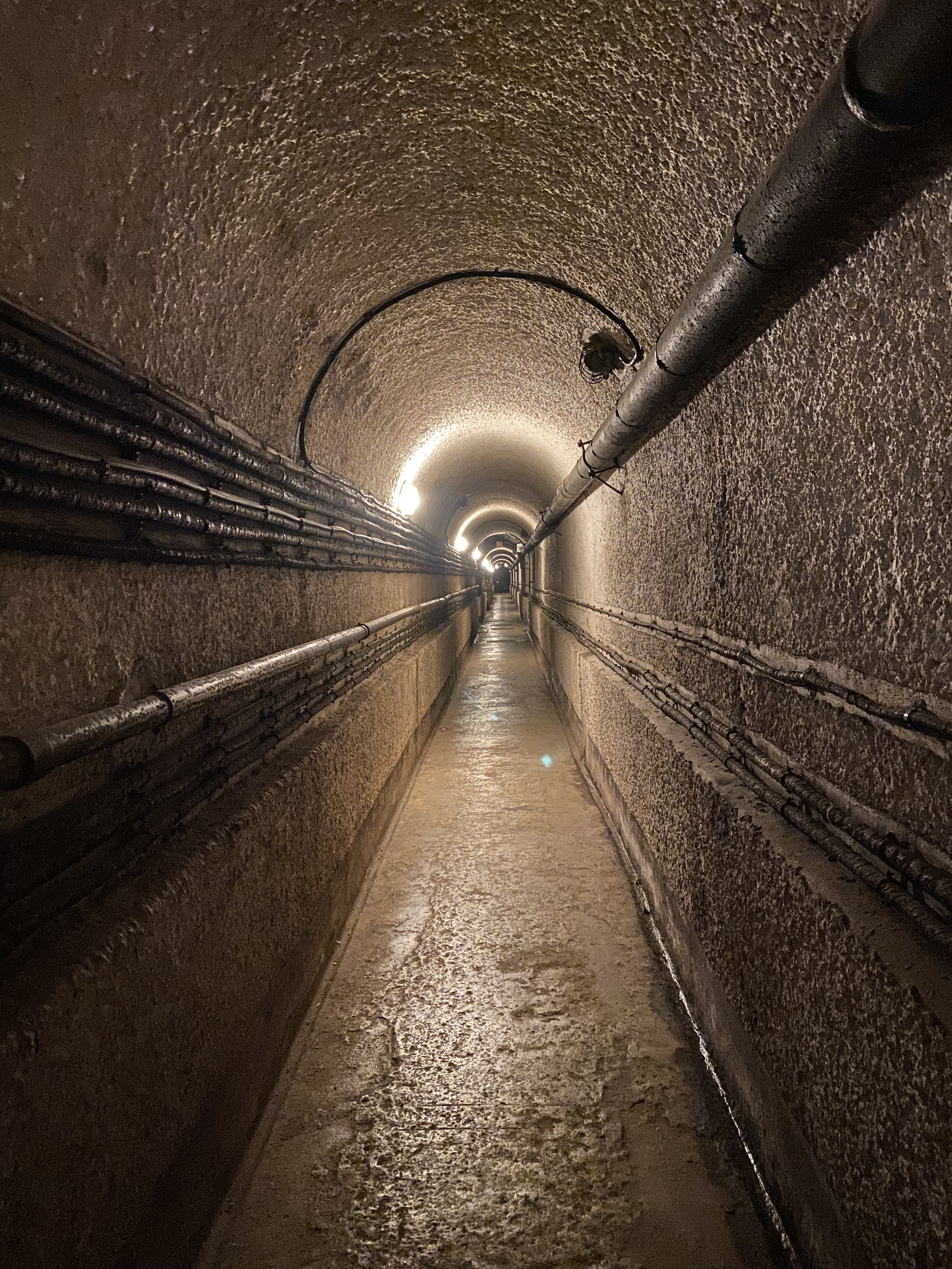 Photo n° 1 de l'avis de Taank.9 fait le 03/03/2023 à 21:58