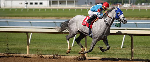 Casino «Indiana Grand Racing & Casino», reviews and photos, 4300 N Michigan Rd, Shelbyville, IN 46176, USA
