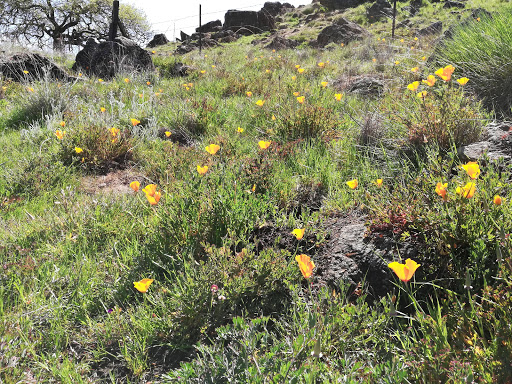 Nature Preserve «Coyote Valley Open Space Preserve», reviews and photos, 550 Palm Ave, Morgan Hill, CA 95037, USA