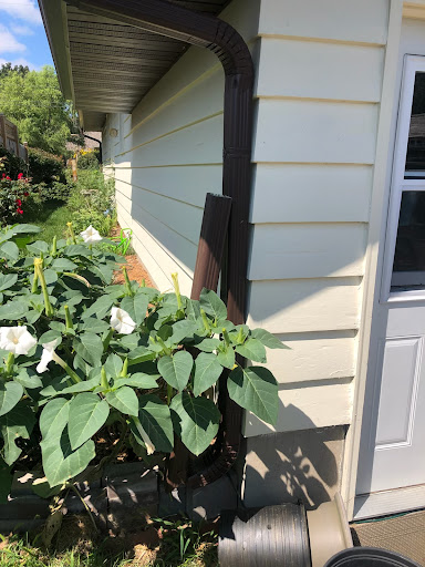 Roofing Contractor «Ridge Top Exteriors», reviews and photos, 4620 Dovetail Dr, Madison, WI 53704, USA