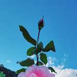 Photo n°8 de l'avis de Barbara.f fait le 16/08/2023 à 17:52 sur le  Schloss Hotel Korb à Missian