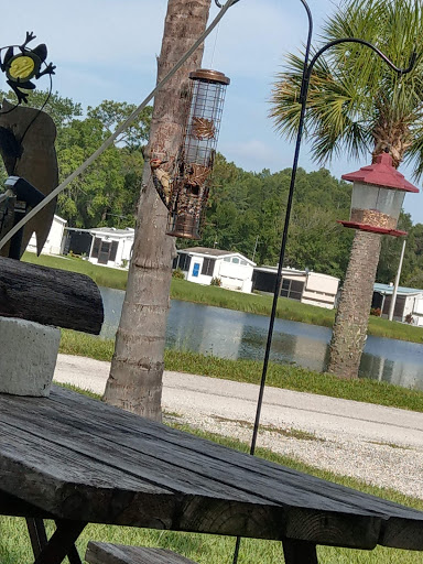 Campground «Seven Springs Travel Park», reviews and photos, 8039 Old Co Rd 54, New Port Richey, FL 34653, USA