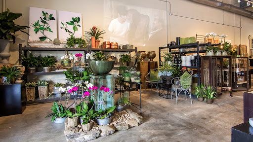 Florist «Tanarah Luxe Floral», reviews and photos, 2326 Cantrell Rd, Little Rock, AR 72202, USA