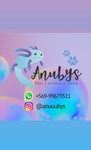 Anubys, Baño y Peluquería canina - Peluquería