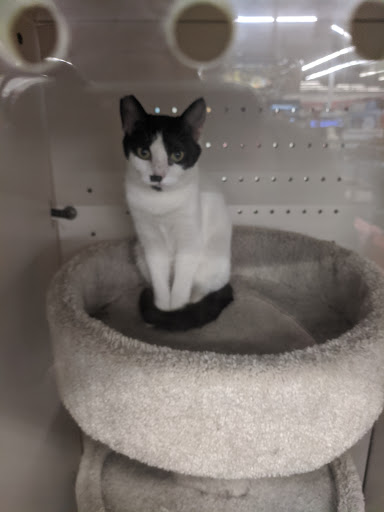 Pet Supply Store «Petco Animal Supplies», reviews and photos, 1333 Centennial Ave, Piscataway Township, NJ 08854, USA