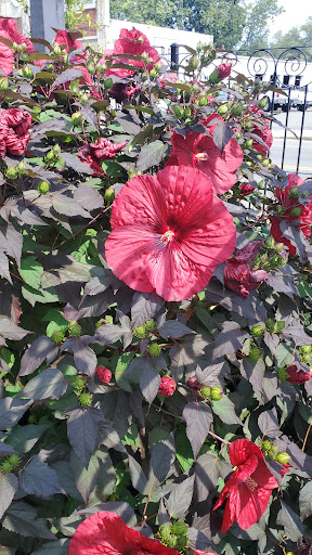 Art Gallery «Salem Art Gallery», reviews and photos, 64 Bridge St, Salem, MA 01970, USA